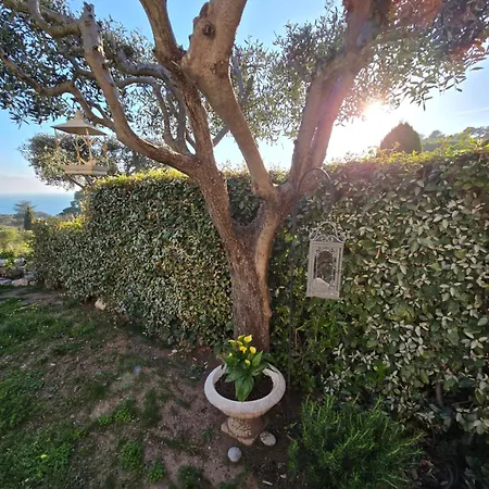 Perle D'or Vue Mer *