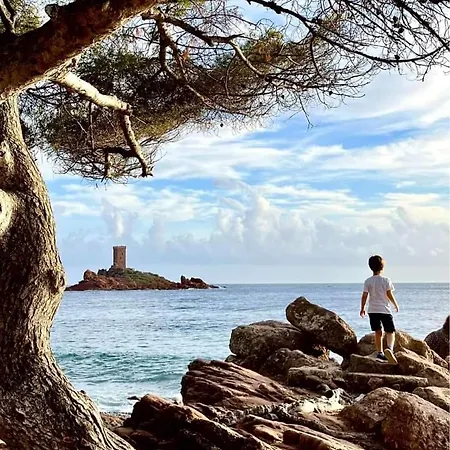 Perle D'or Vue Mer * Saint-Raphael (Var)